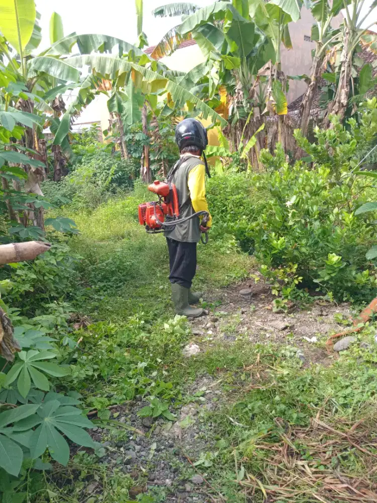 Jasa Potong rumput sleman