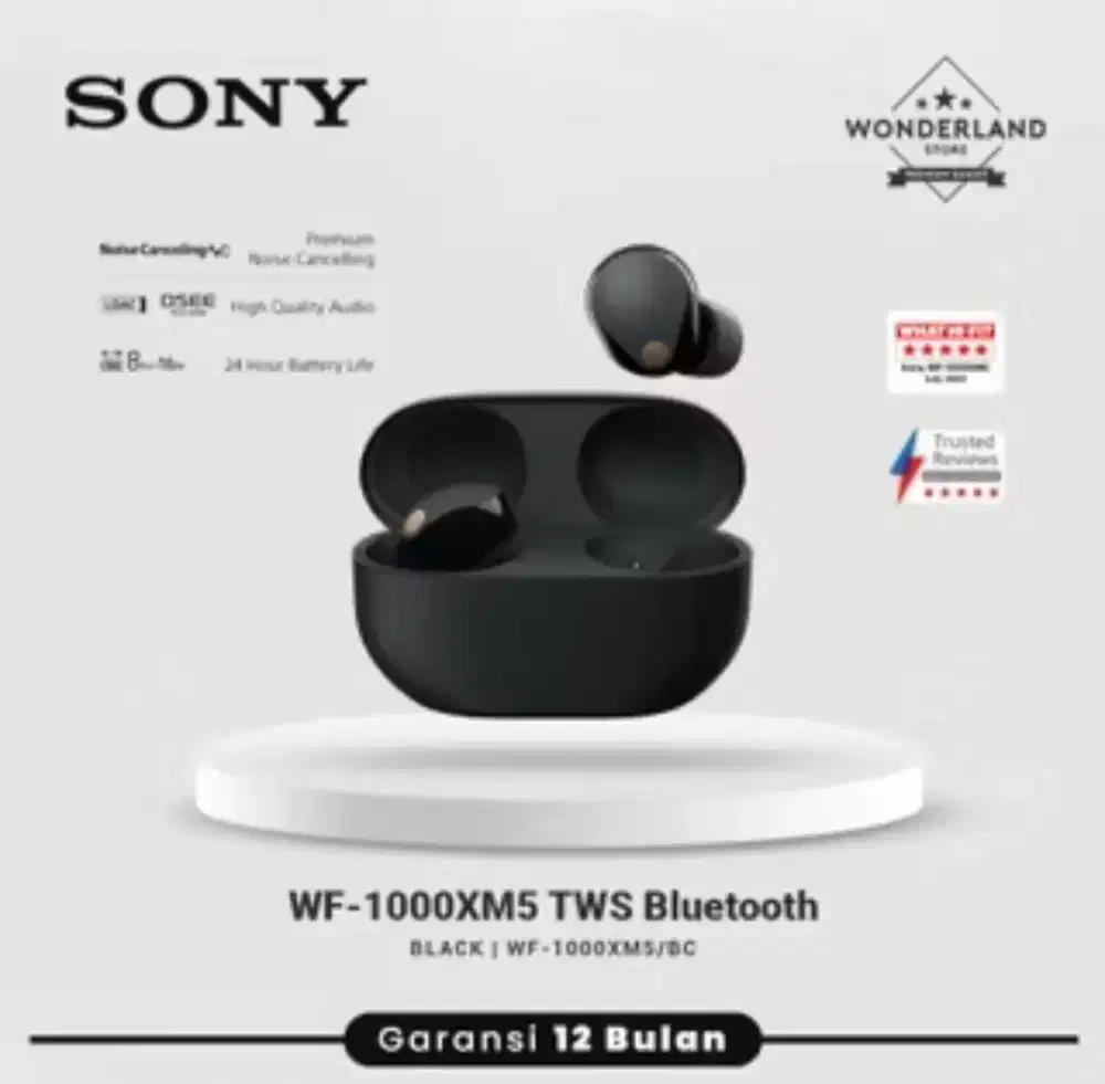 Sony WF 1000XM5