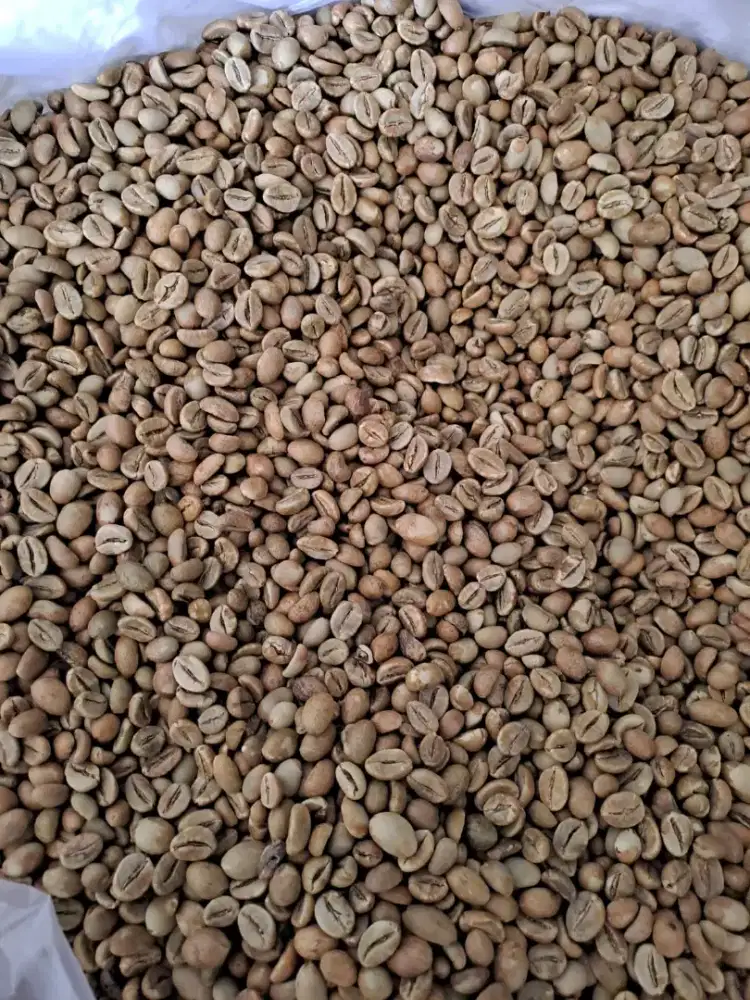 Jual Biji kopi / Sale , Coffee Beans