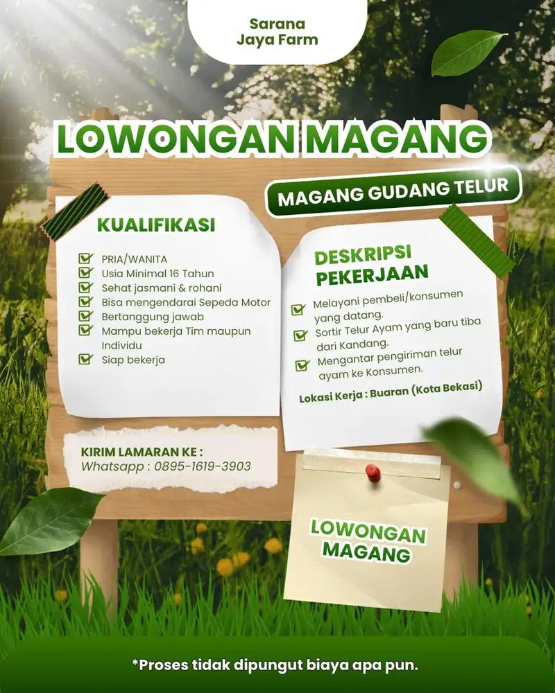 Magang Gudang Telur