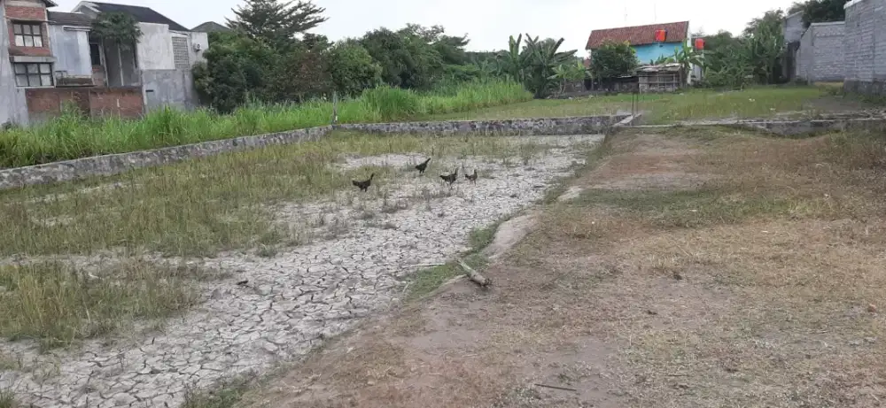 Termurah, tanah luas dekat kampus UAD 4,5 wirosaban Banguntapan