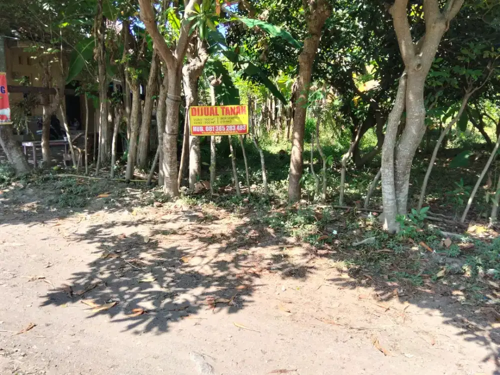 Di Jual Tanah 100 dan 200 M2 Banyuwangi Kota