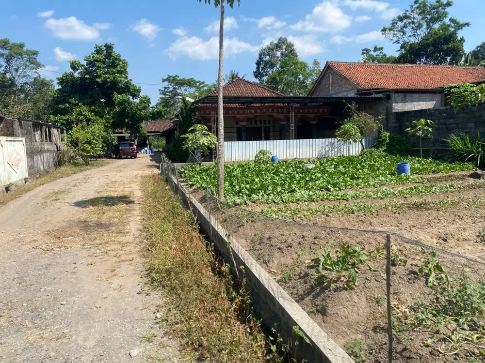 BU Di Jual Murah Tanah dan Rumah