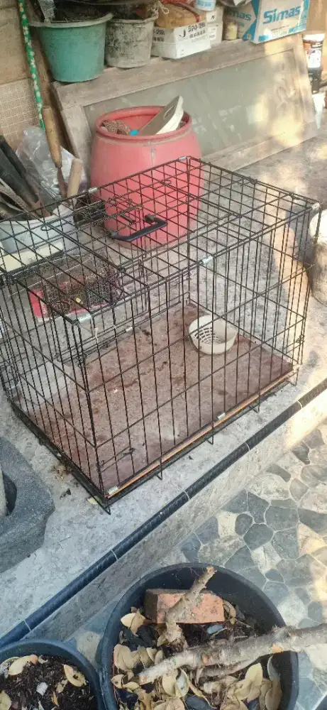Jual kandang kucing