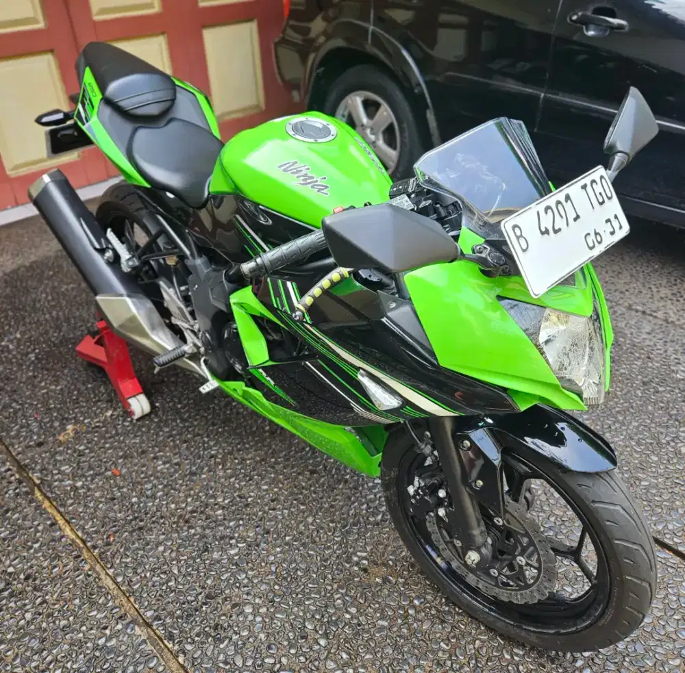 Kawasaki NINJA RR Mono 2015