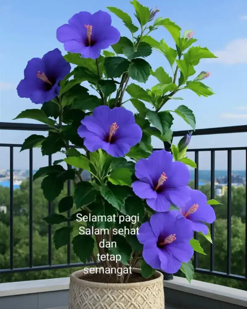 Dicari ART Perempuan untuk keluarga Tinggal Dalam