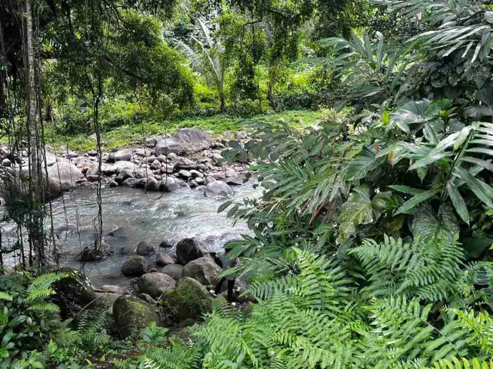 jual tanah Luas kecil Los sungai besar berbatu di penebel tabanan bali.