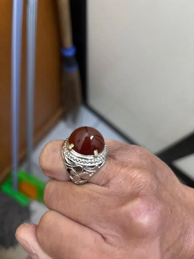 Red Rafflesia asli Bengkulu