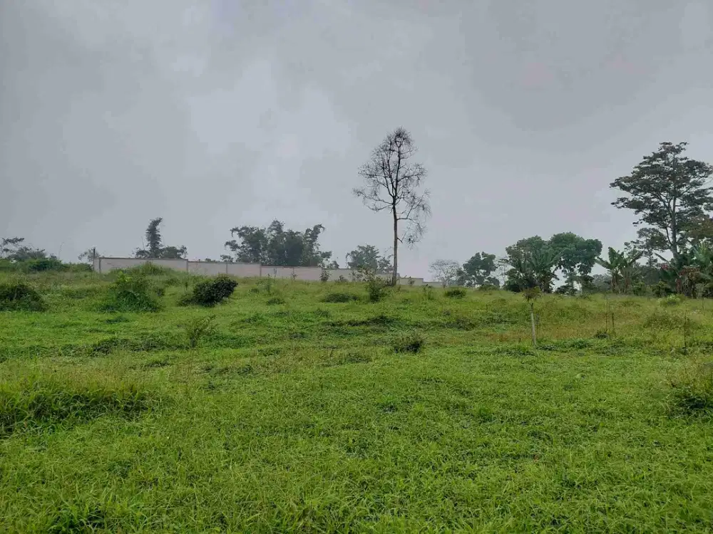 FOR SALE – Tanah Kosong Strategis di Lawang

 Lokasi: Jl Tegal Rejo Desa Ketindan Kecamatan Lawang Kabupaten Malang Provinsi Jawa Timur

Spesifikasi:
Luas Tanah: 7.084 m²

Legalitas: Sertifikat Hak Milik (SHM) 

Keunggulan:
- Lokasi strategis & potensial