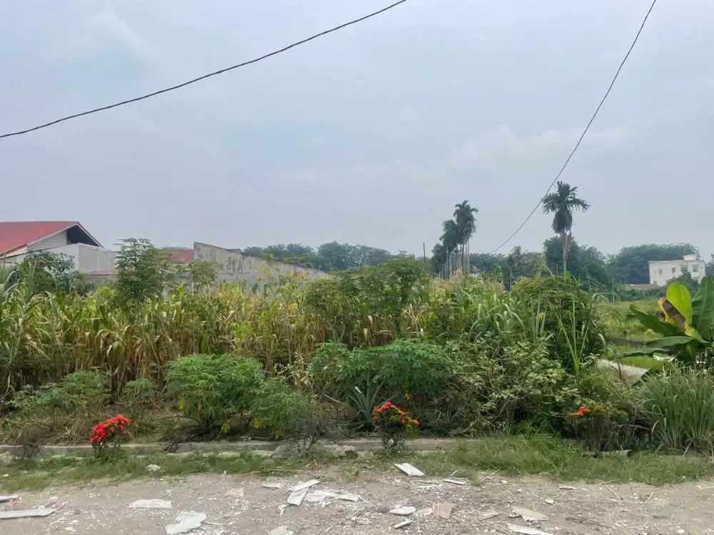 Dijual Tanah di Jalan Bunga Terompet, Lorong Tarigan (Uk.11,55 x 25 m)
