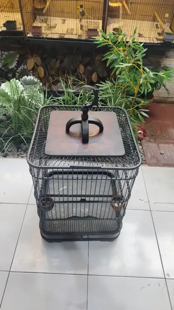 Sangkar jati kotak estetik