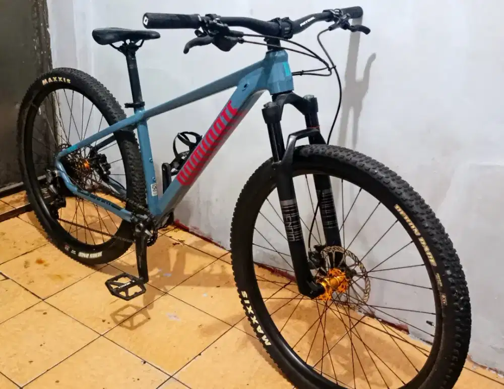 Sepeda Dominate S 29