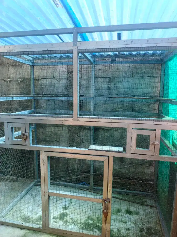 Kandang aviary ( kandang hewa )