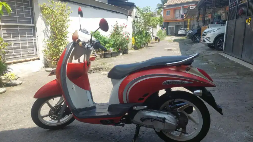 HONDA SCOOPY KARBU