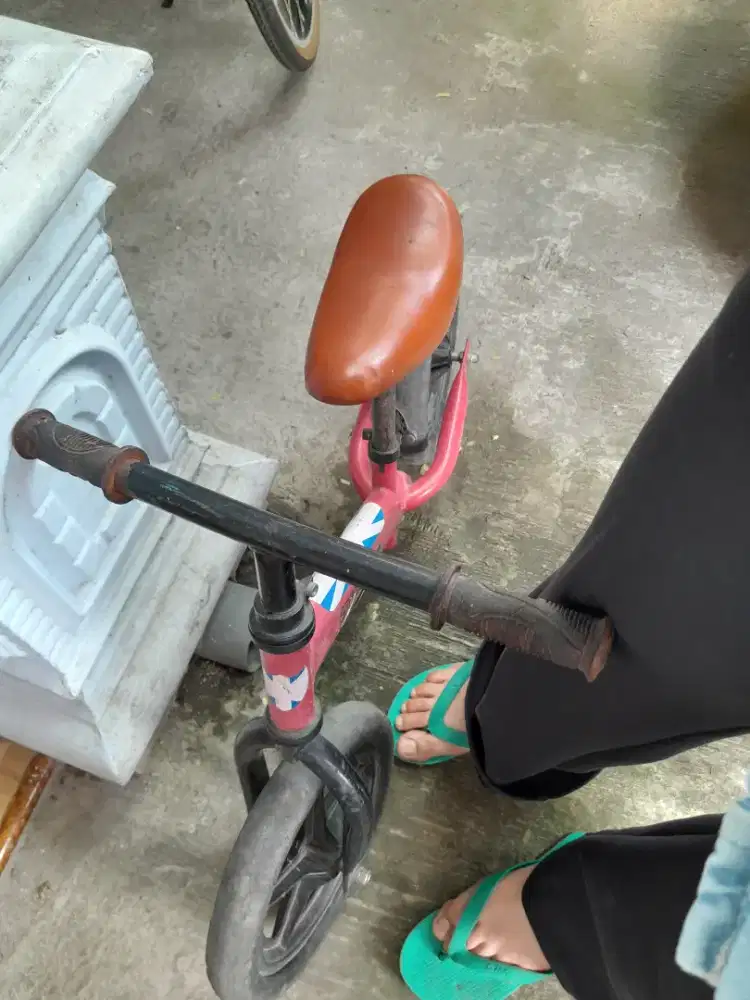 Pushbike Sepeda Anak Balita