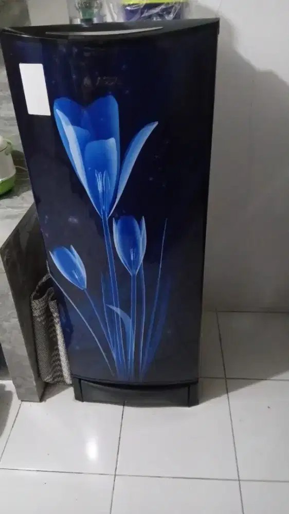 Kulkas Aqua 1 pintu