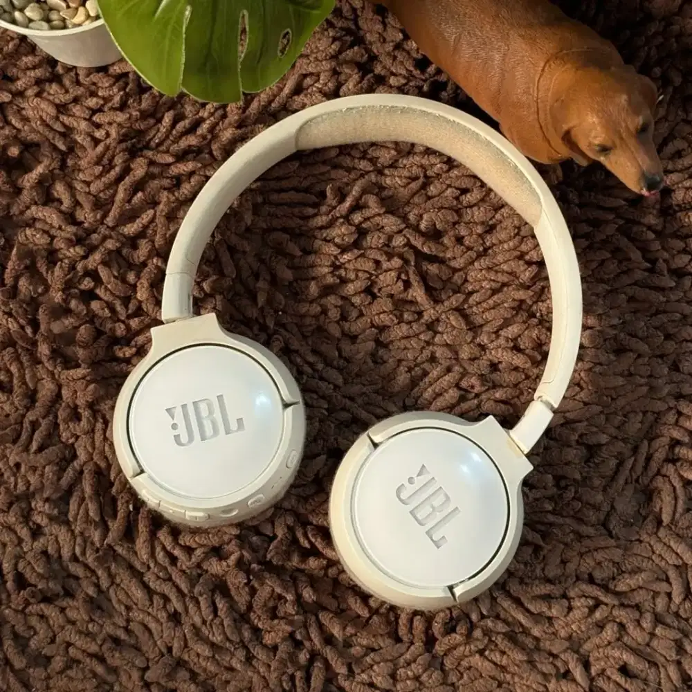 Headphone Headphones Headset From JBL 600BTNC White Color