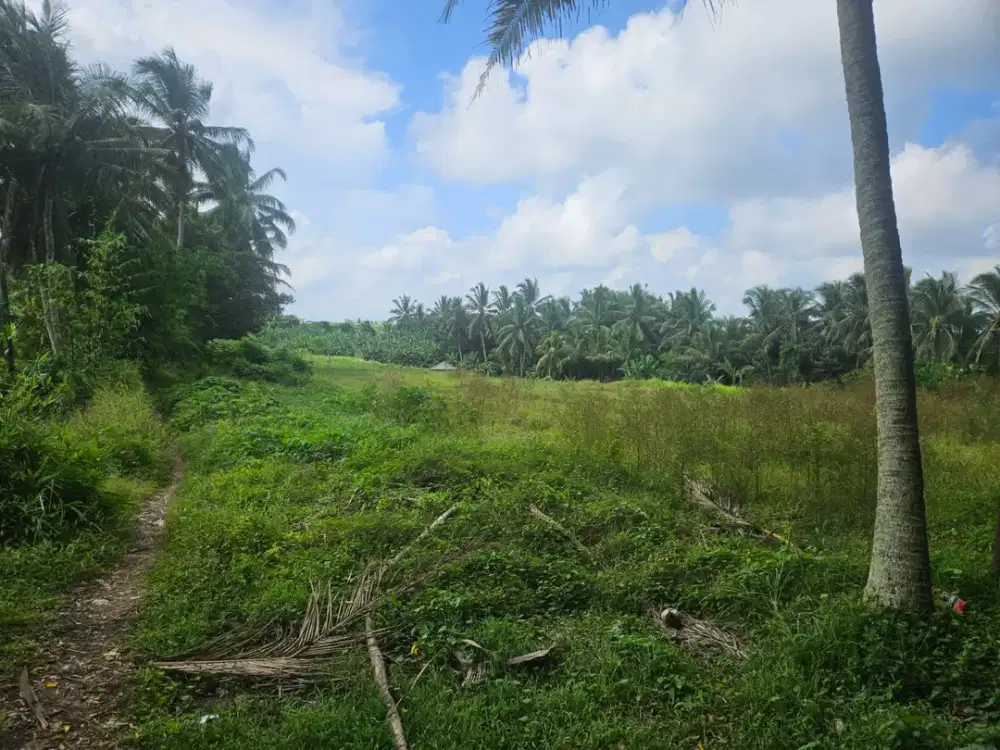 DISEWAKAN TANAH JANGKA PANJANG AREA GULINGAN MENGWI