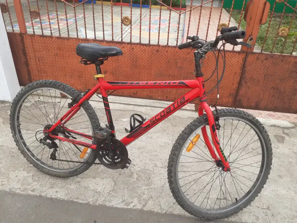 Sepeda MTB Genio Scoatia size 26