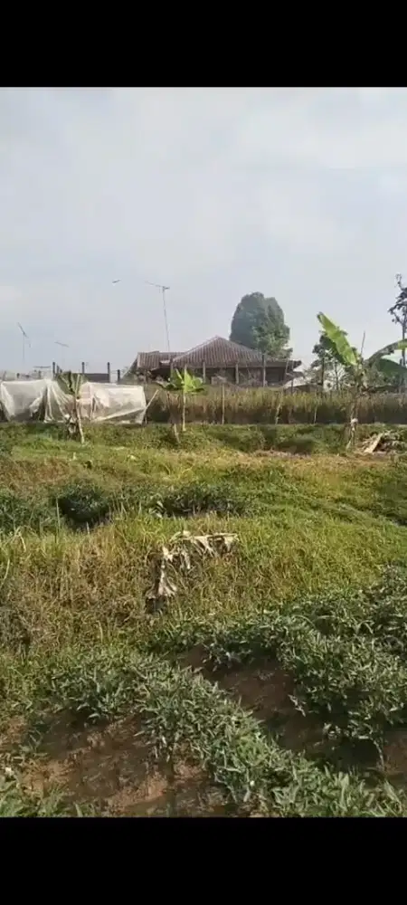 Jual lahan murah 4.000 meter surat AJB