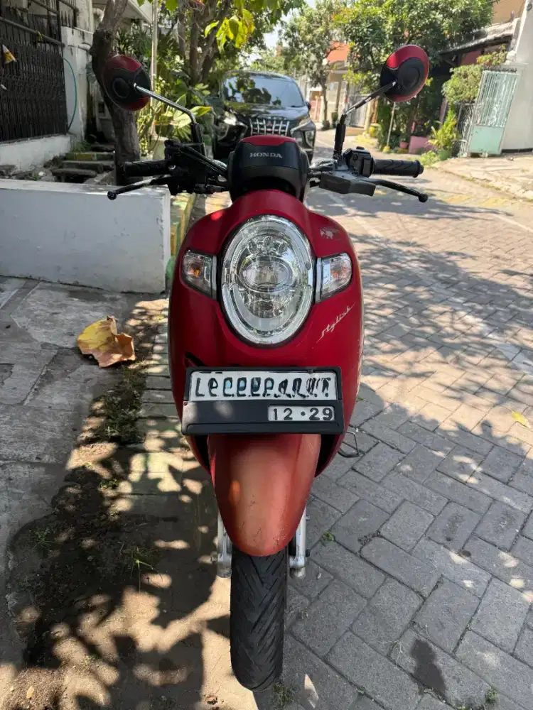 Scopy stylish 2019