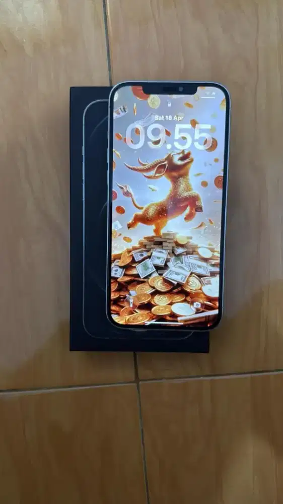 Iphone 12 pro max 256 GB ex Garansi Resmi Indonesia (Erajaya)
