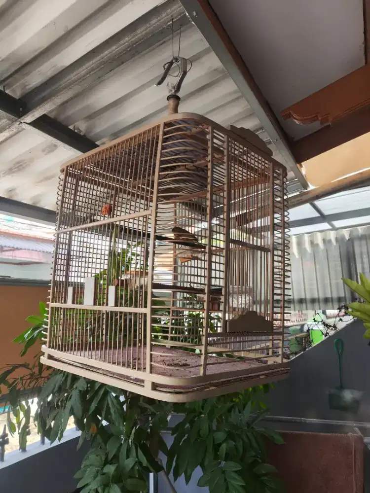 Kandang burung no 2