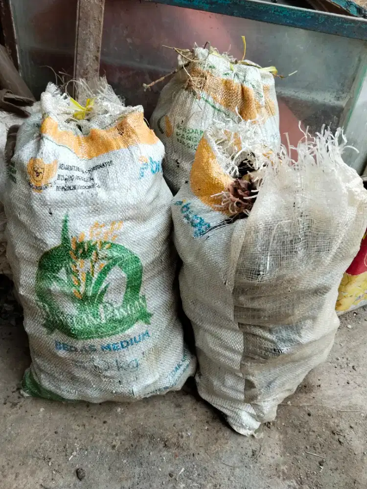Bahan batu akik karang nunggal karungan