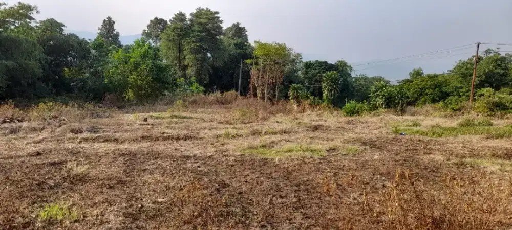 Jual murah 4600 M² surat SHM