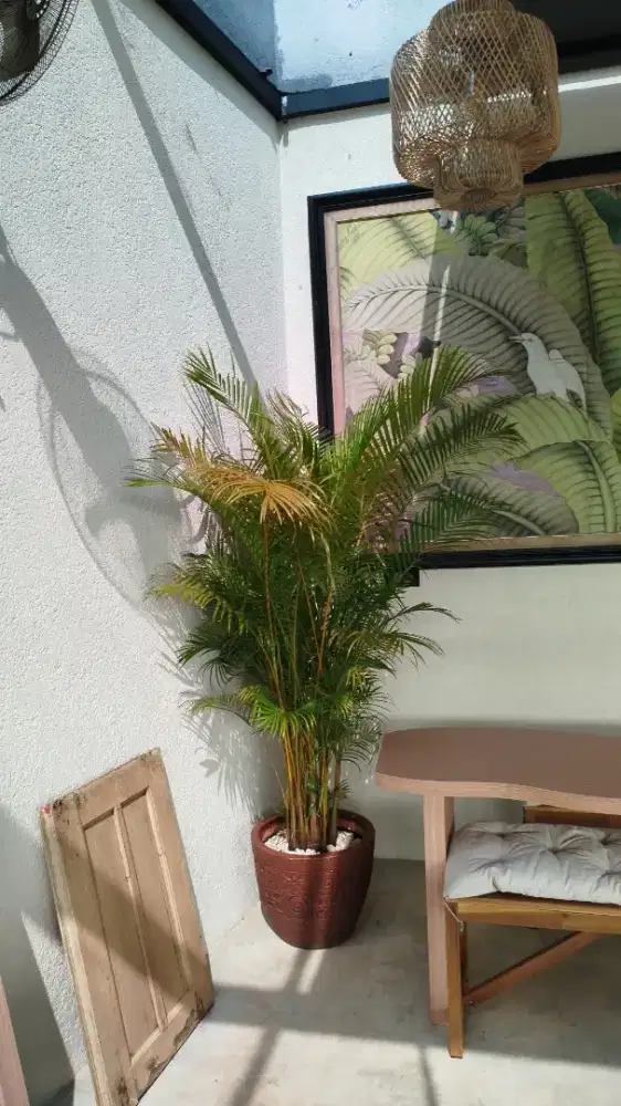 rental tanaman in door