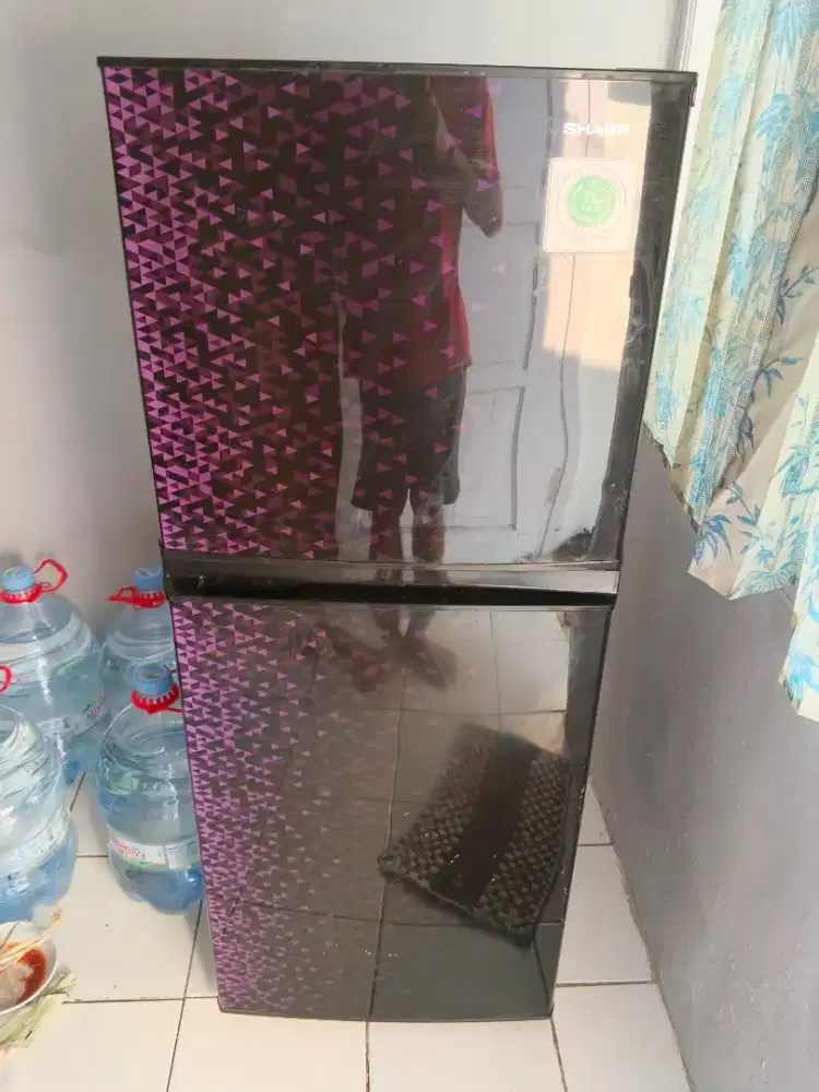 Kulkas Sharp 2 pintu