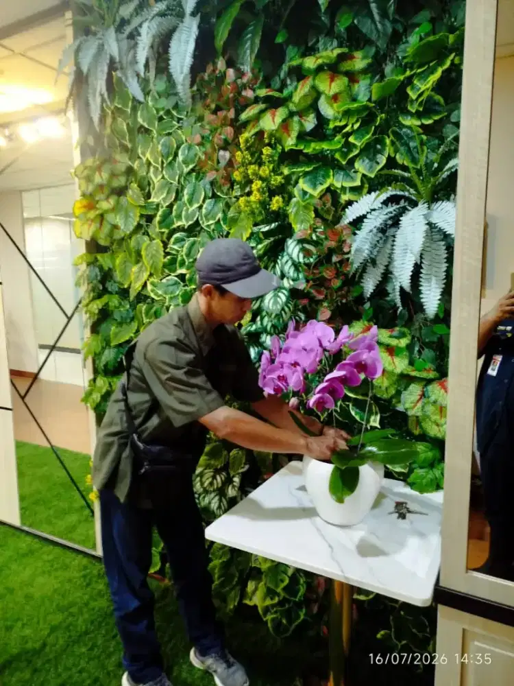 sewa tanaman hias