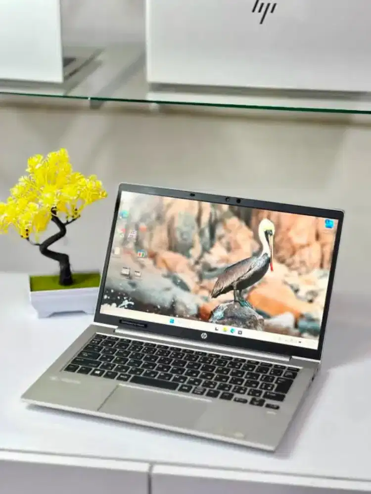 HP ProBook 635 G7 Ryzen 5: Ringan, Kencang, Fullset!