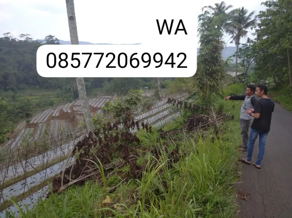 Dijual Tanah murah pinggir jalan