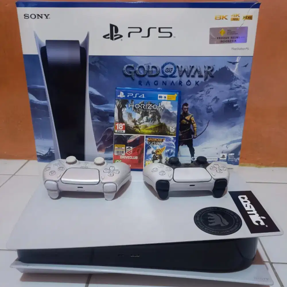 PS 5 FAT DISC Bonus Game