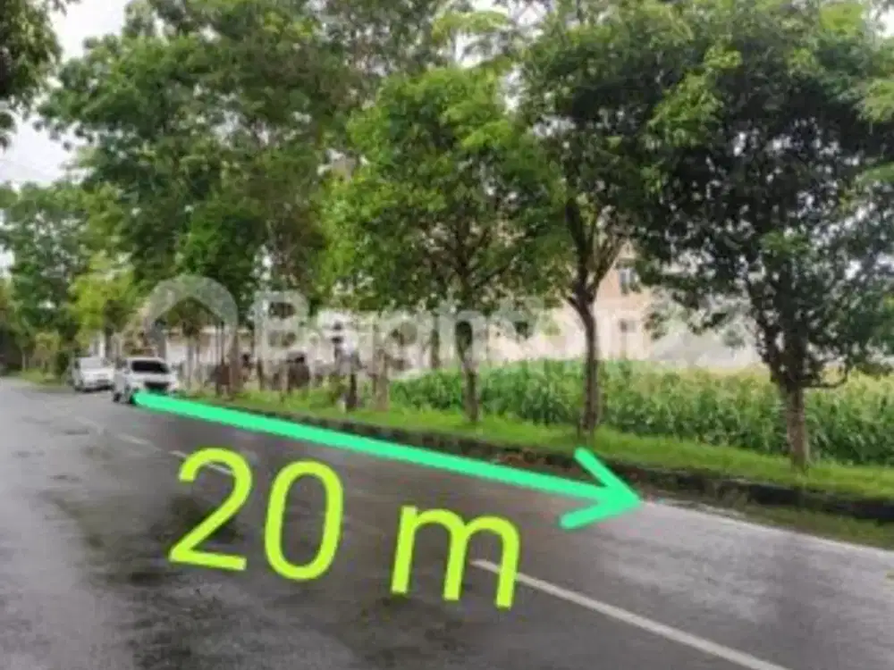 TANAH SAWAH LUAS DAN PINGGIR JALAN RAYA