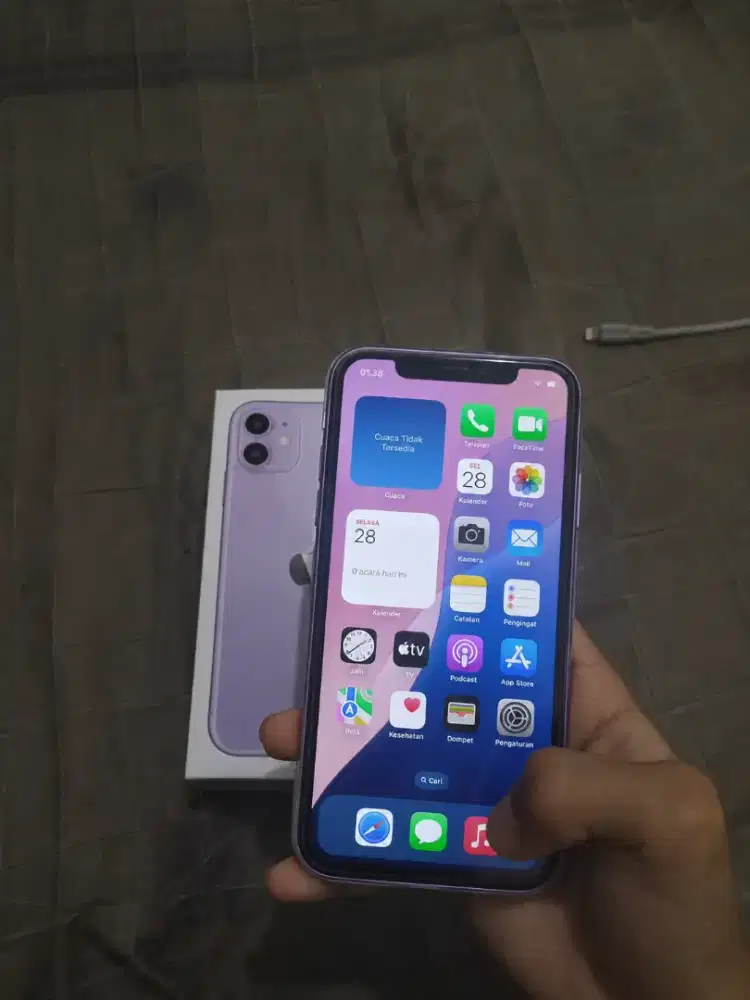iPhone 64GB wifi only