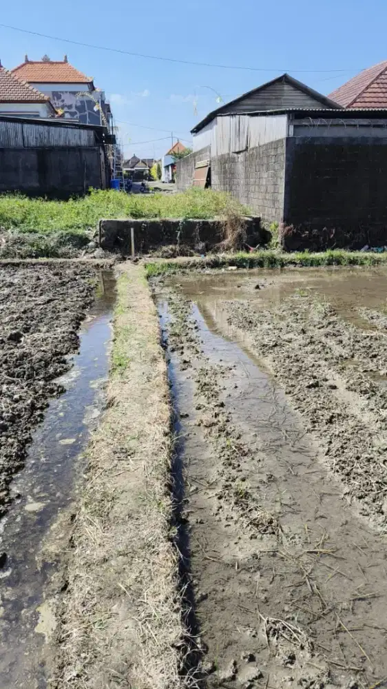 DIJUAL KAVLING SHM SIAP BANGUN DI BUDUK - MULAI 100 M² - VIEW SAWAH
