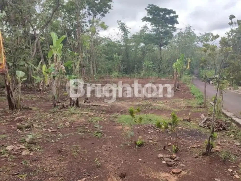 TANAH PEKARANGAN DI BEJIHARJO WONOSARI