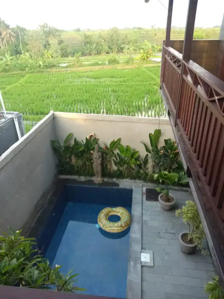 VILLA FOR RENT IN SESEH - 2 BEDROOM - PRIVATE POOL NEAR TO SESEH BEACH