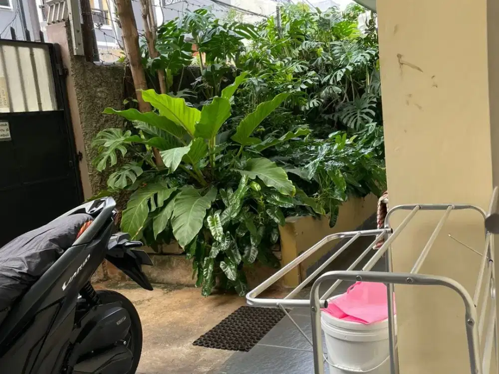 Dijual Kos-Kosan di Kwitang, Senen Jakarta Pusat