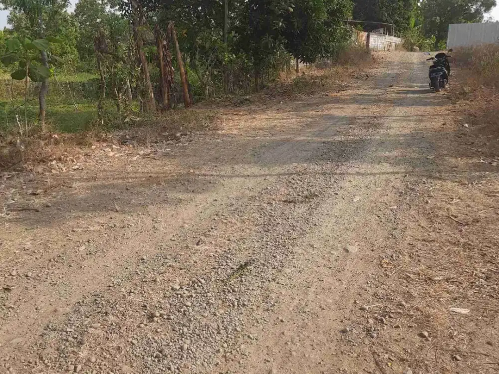 Kebun murah 1400 m2 Cibogo Subang