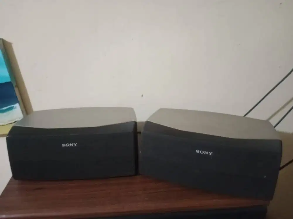 Speaker Center-Rear SONY