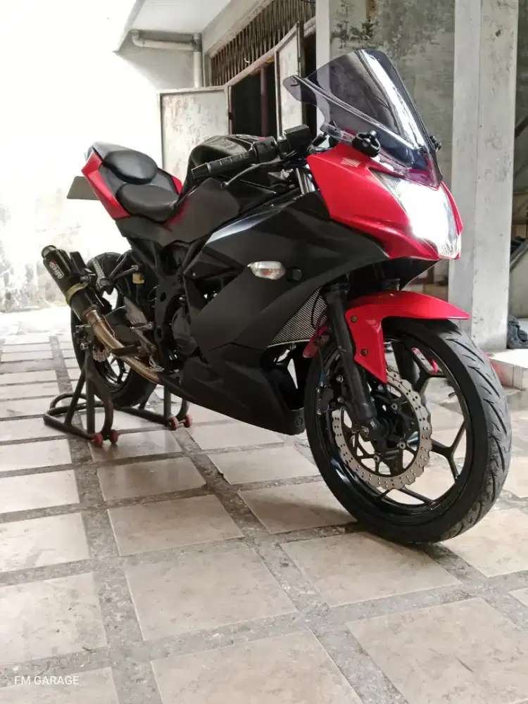 Ninja 250 mono sl