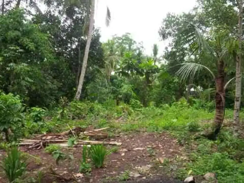 Freehold - Exclusive Riverside Land for Sale - 1,100 sqm , Sri Wedari, Ubud, Bali
