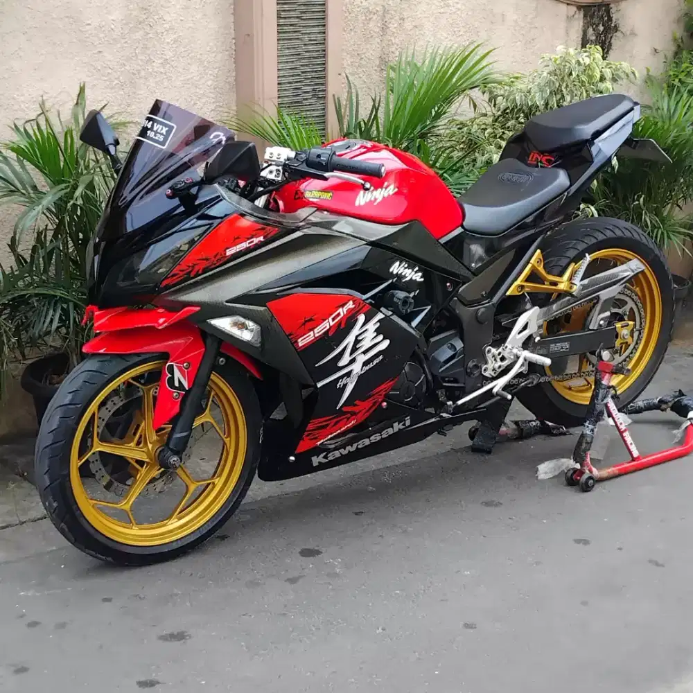 Kawasaki Ninja 250 FI