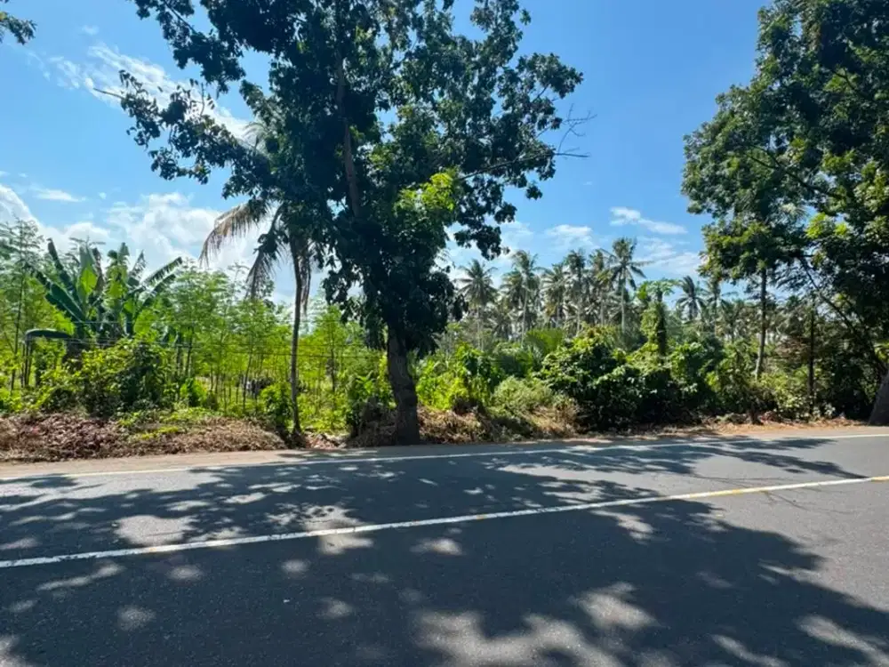 DISEWAKAN: Tanah Industri Zona Abu 1,31 Ha Pinggir Jalan Utama Denpasar–Gilimanuk