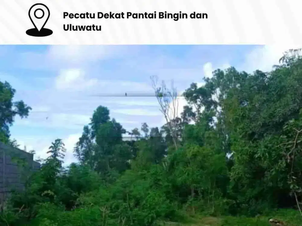 DIKONTRAKKAN TANAH LOKASI PECATU DEKAT PANTAI BINGIN DAN ULUWATU