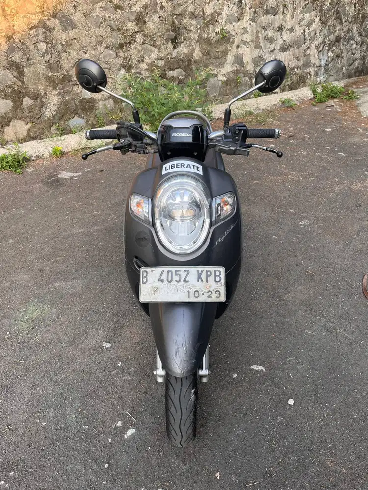 Scoopy Grey 2019