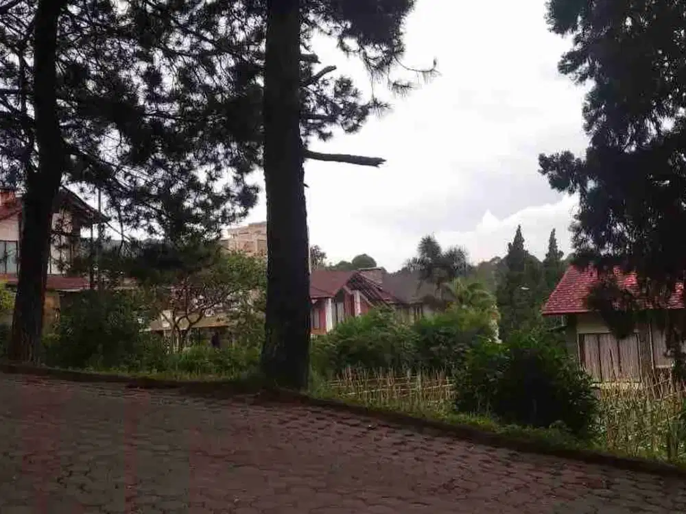 tanah kavling villa istana bunga murah Lembang bandung utara